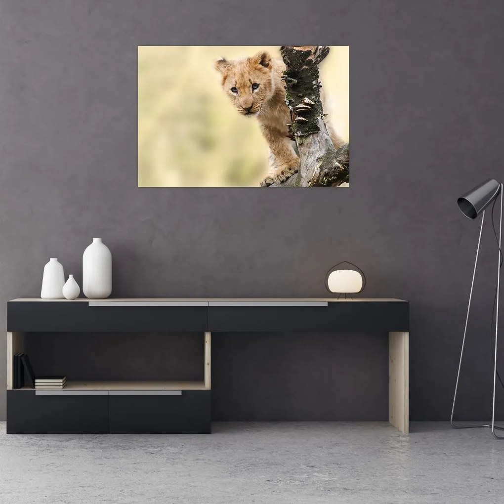 Tablou cu pui de leu (90x60 cm)