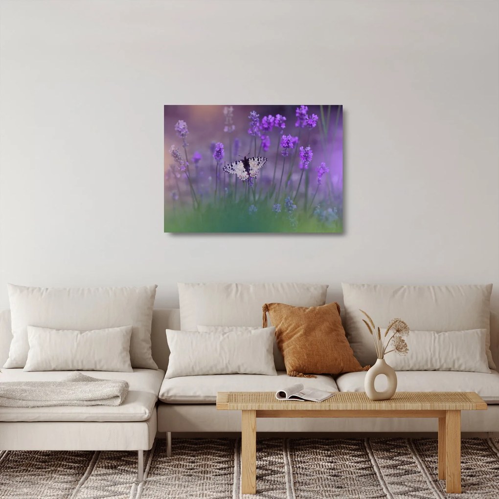 Tablou pe sticlă - fluture în lavandă (70x50 cm)