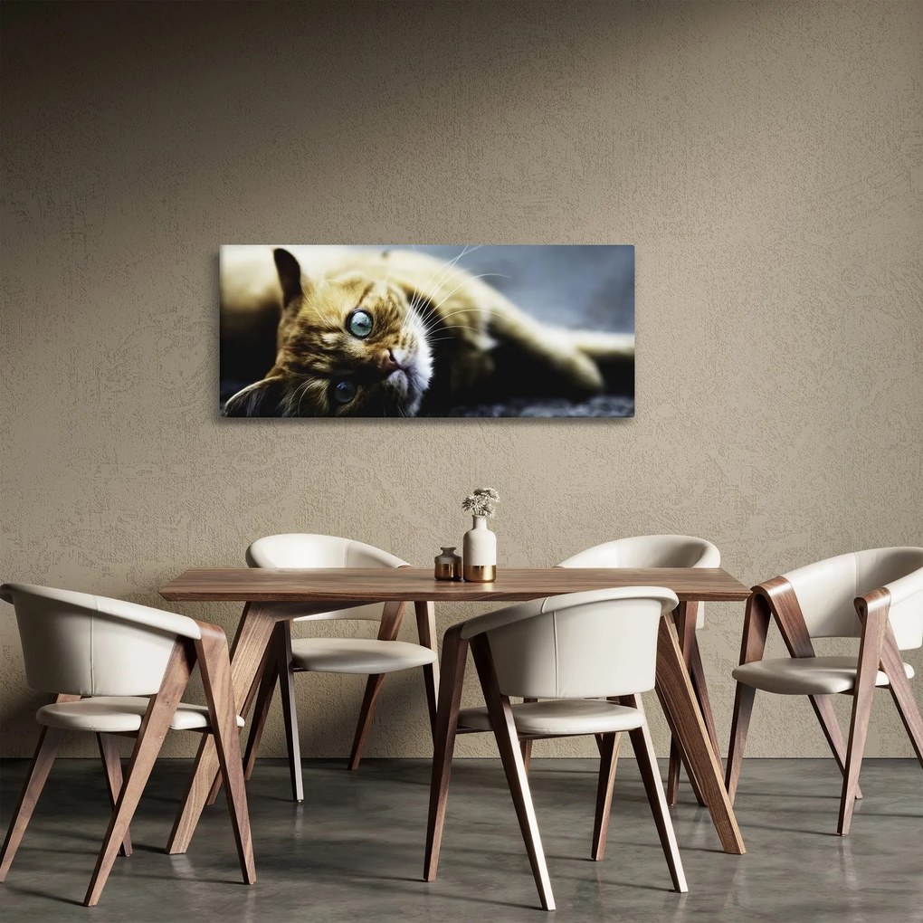 Tablou cu pisica (120x50 cm)