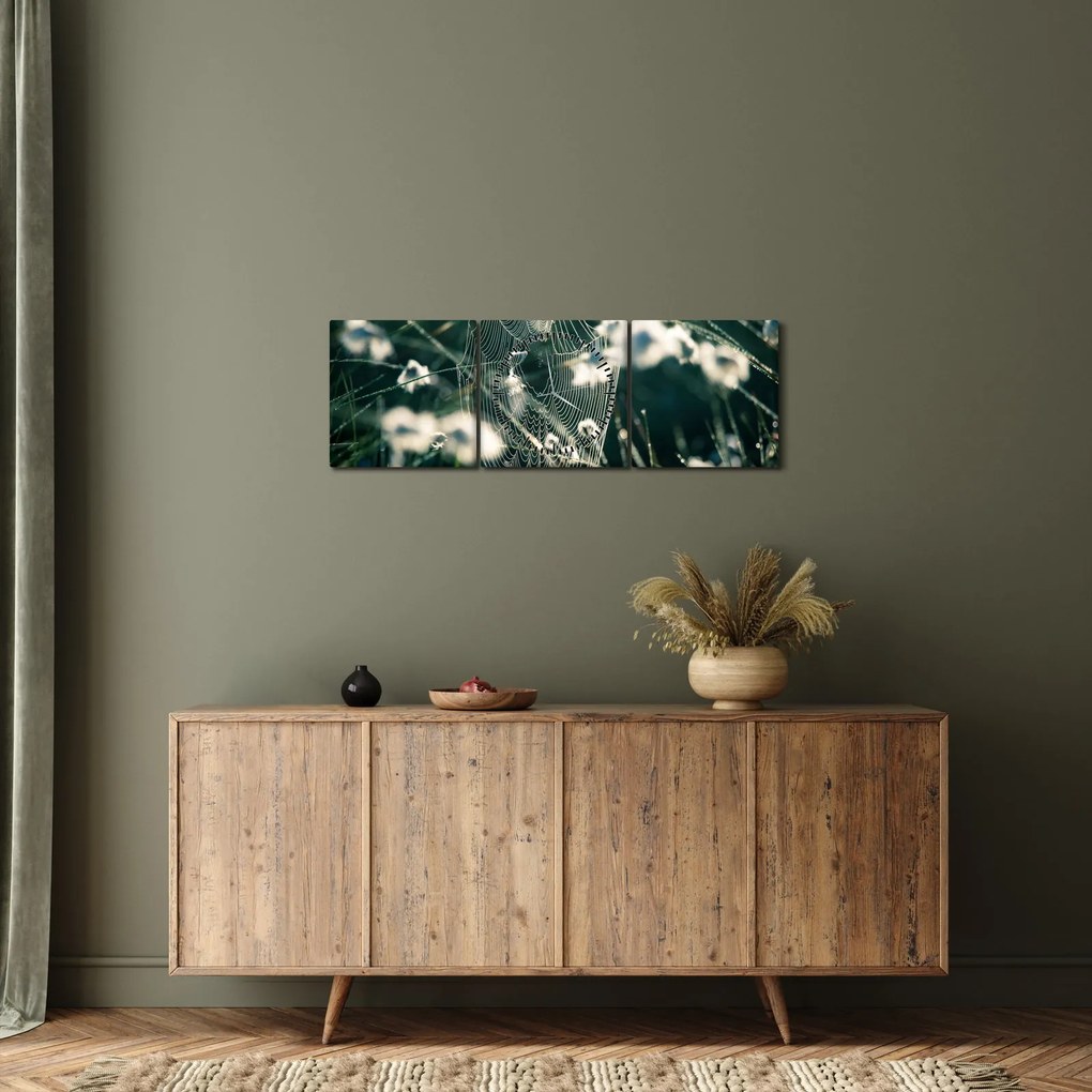 Tablou - Pânză de păianjen (cu ceas) (90x30 cm)