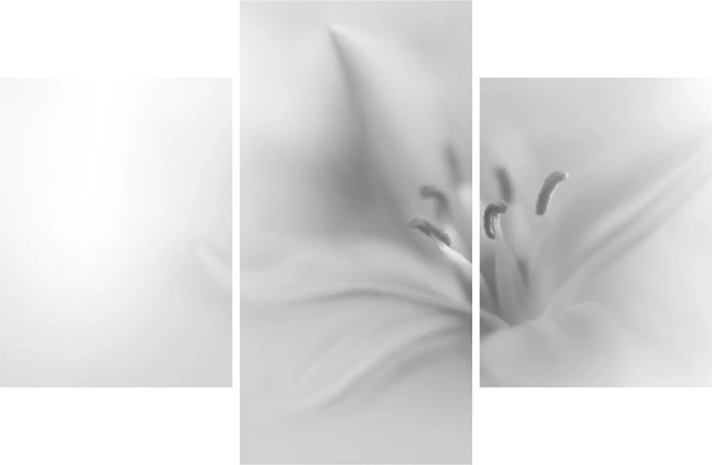 Tablou - Crin delicat (90x60 cm)
