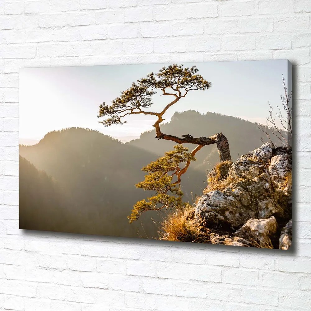 Imprimare tablou canvas Pieniny sokolica