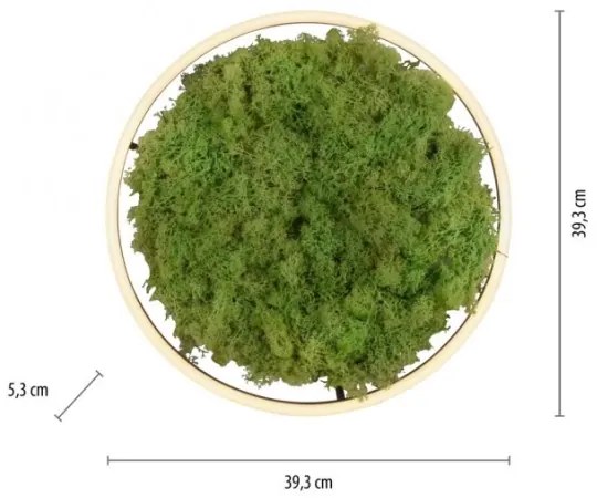 Plafonieră LED dimabilă JUST LIGHT. 15391-66 GREEN RITU LED/20W/230V