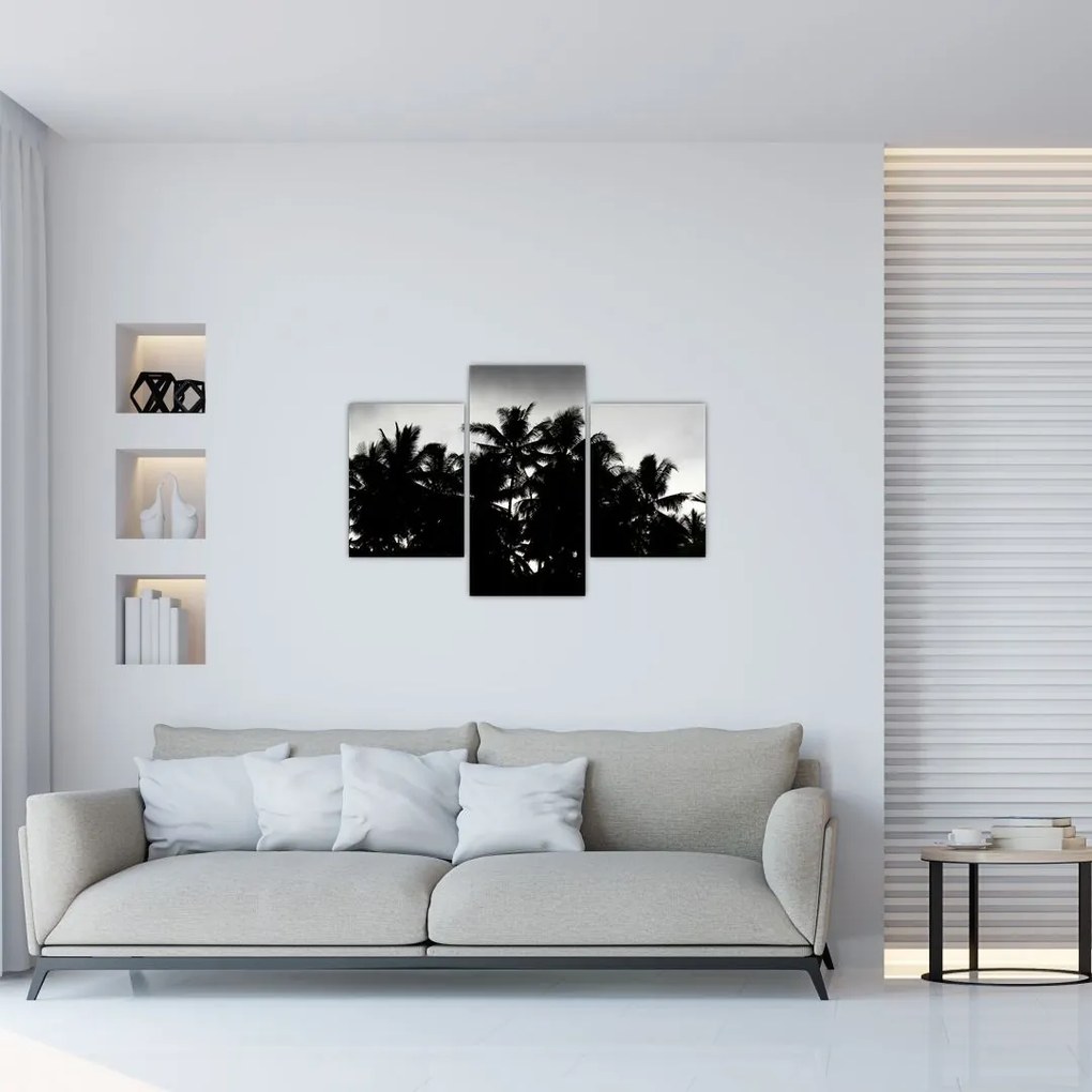 Tablou alb negru - palmieri (90x60 cm)