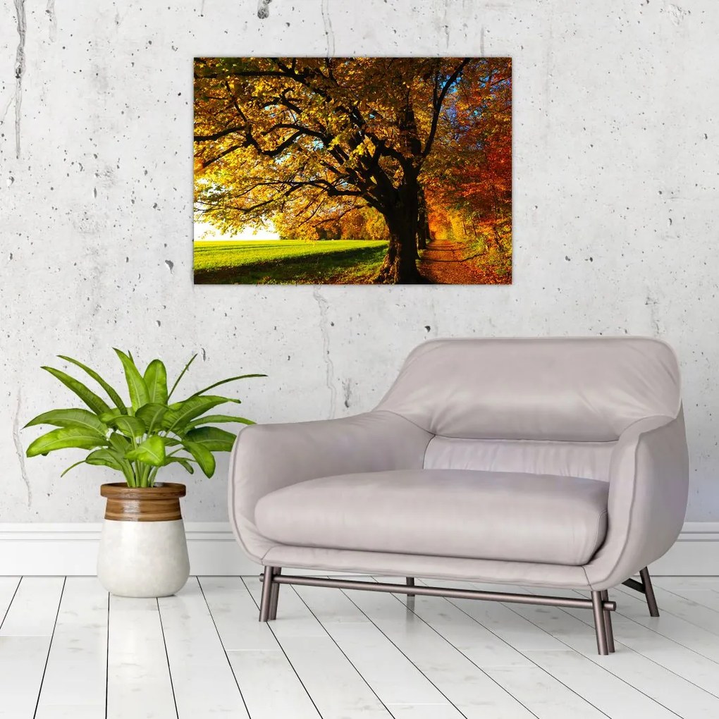 Tablou cu toamna (70x50 cm)