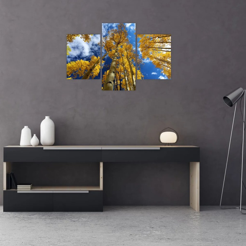 Tablou - Aspen (90x60 cm)