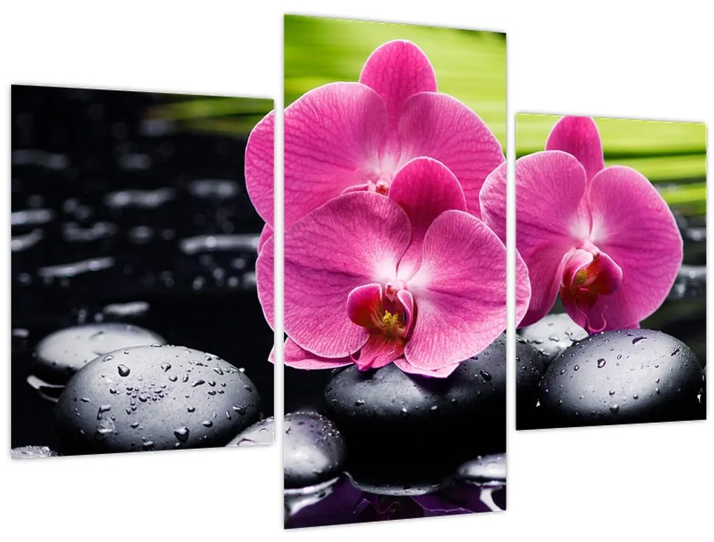 Tablou - Orhidee roz cu frunze de palmier (90x60 cm)