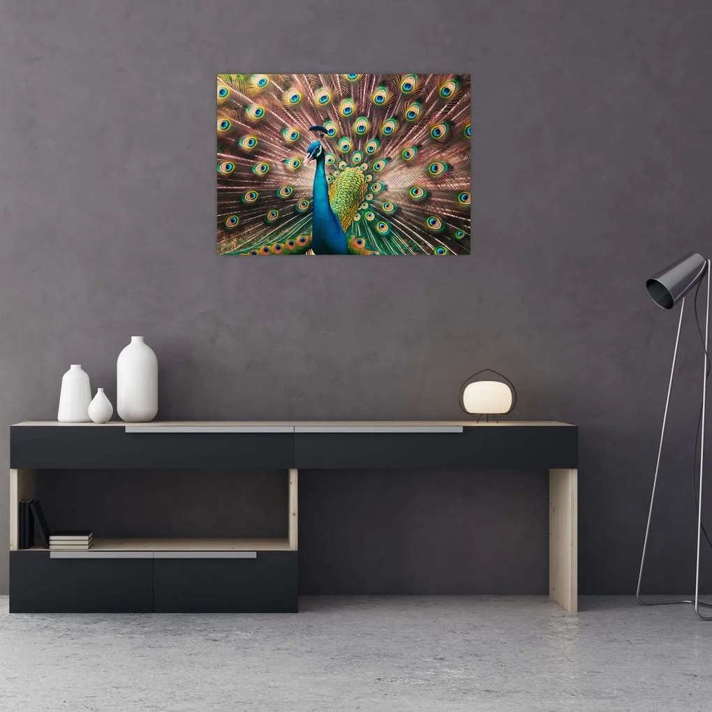 Tablou pe sticlă - Păun (70x50 cm)