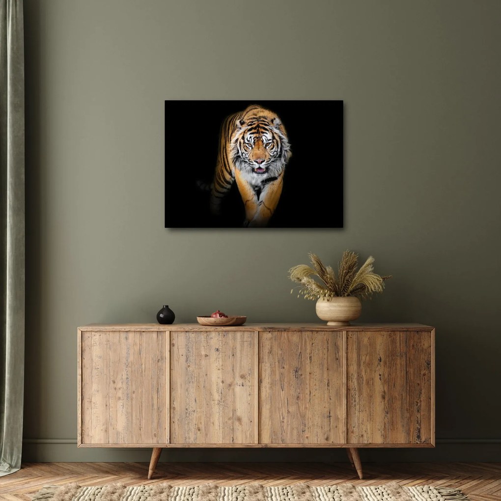 Tablou - Tiger (70x50 cm)