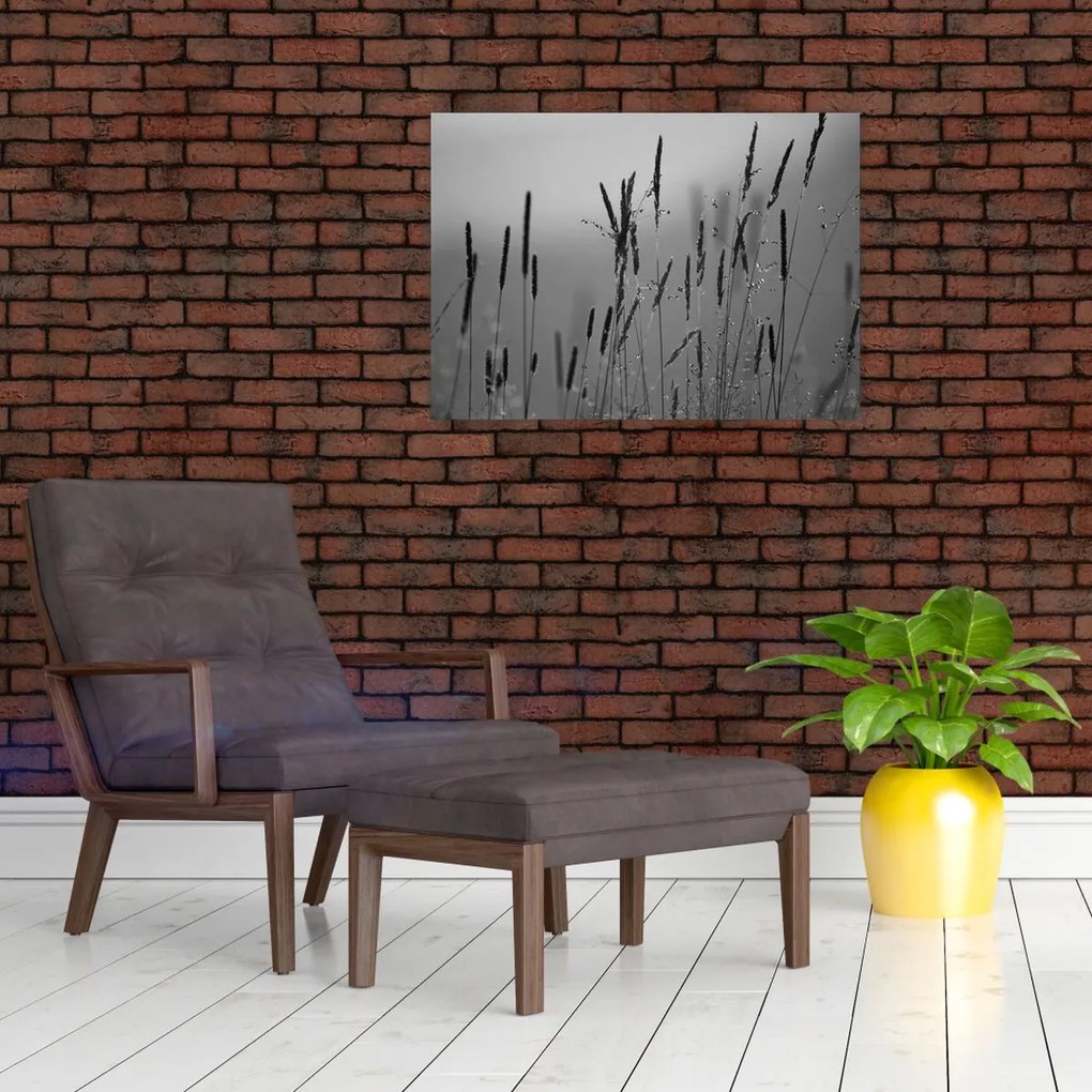 Tablou pe sticlă - Lamele de iarbă (70x50 cm)
