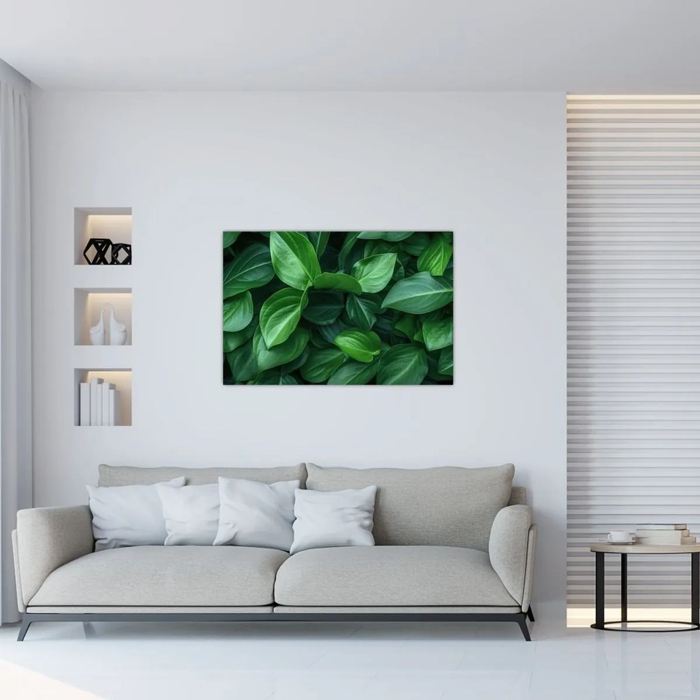 Tablou - Frunze verzi (90x60 cm)