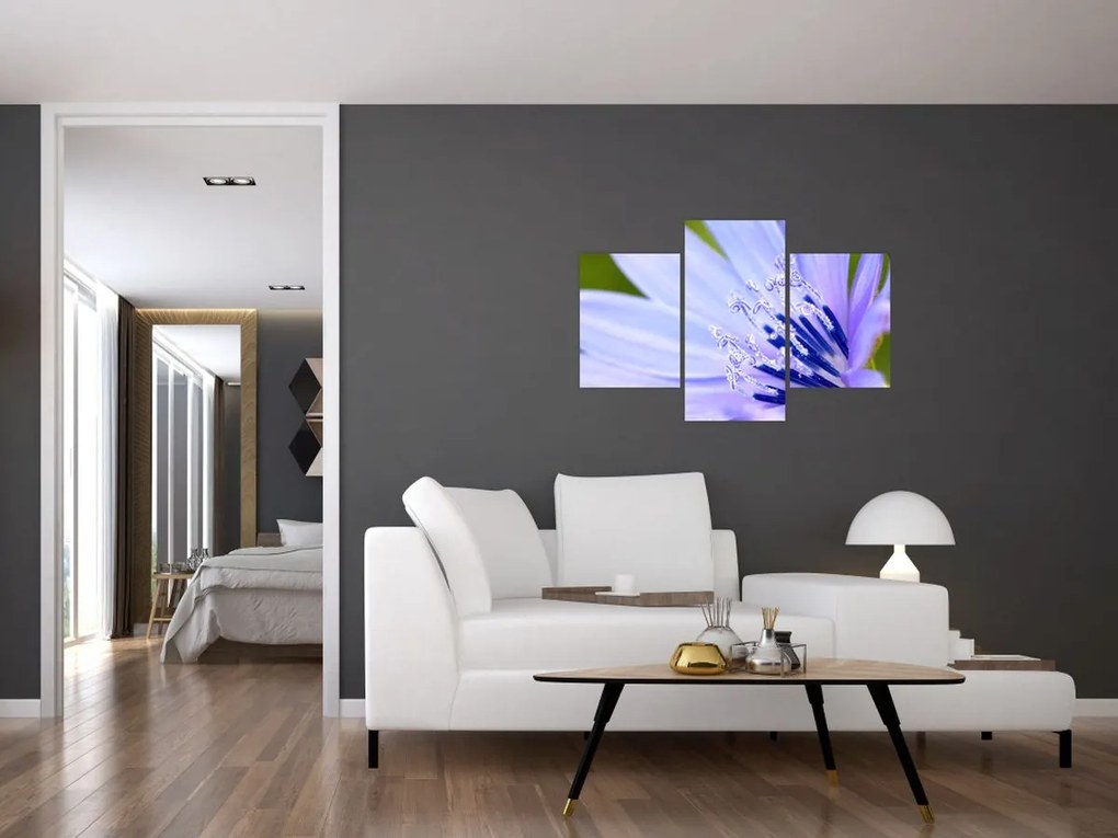 Tablou - Floare (90x60 cm)