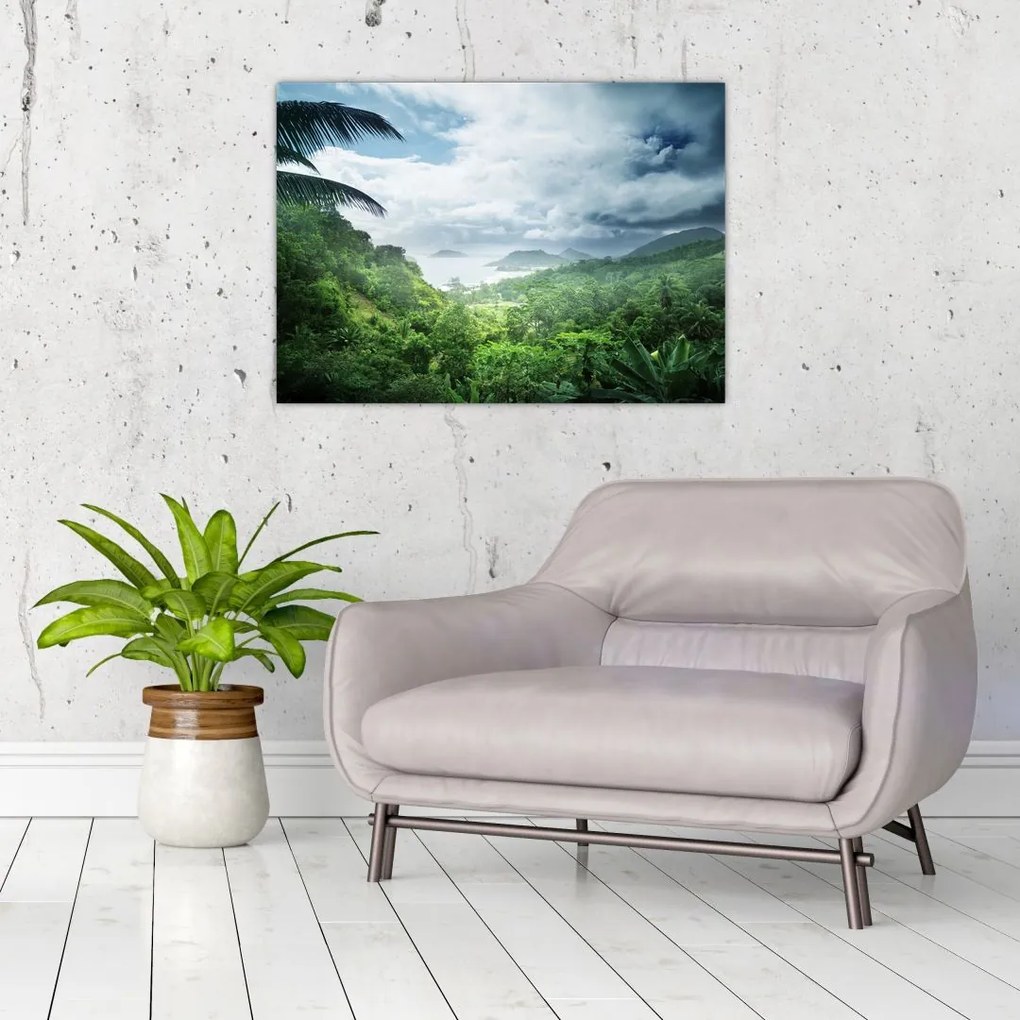 Tablou -Jungla din Seychelles (70x50 cm)