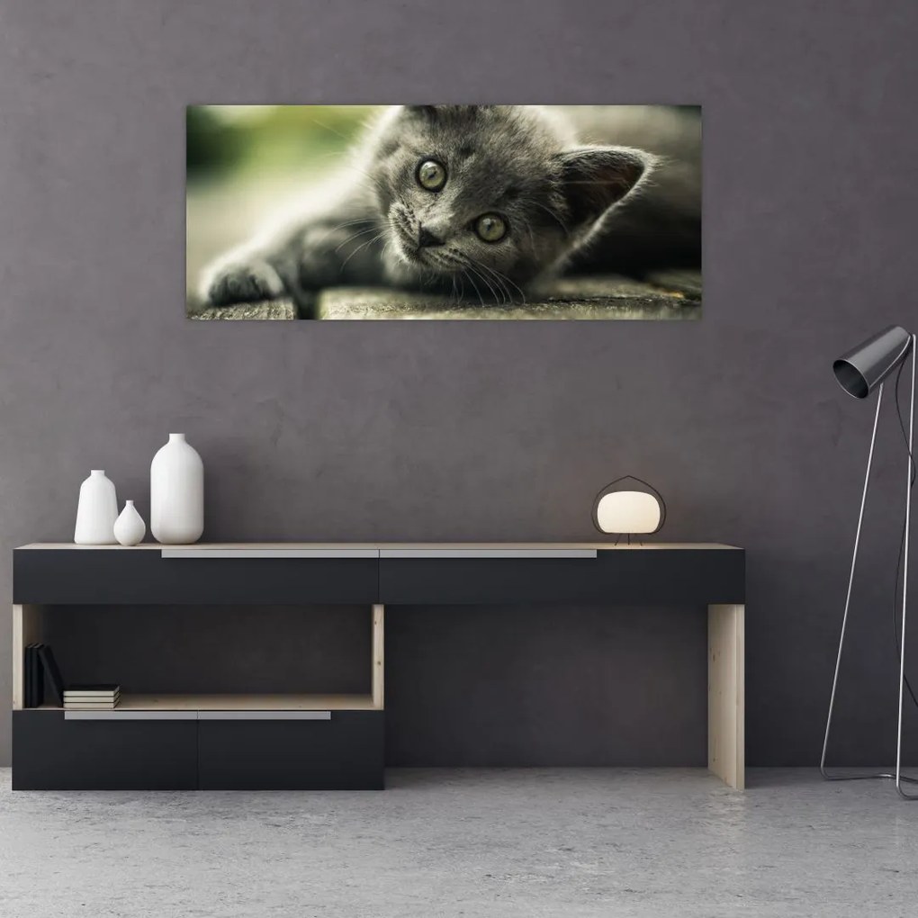Tablou cu pisicuța (120x50 cm)