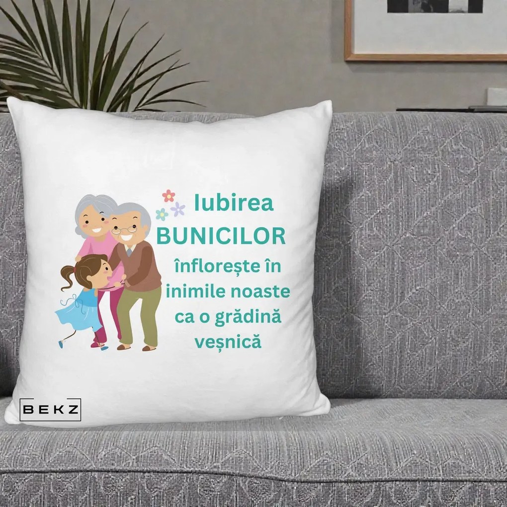 Cadou pentru Bunici - Perna Personalizata Bunicii Iubirea Infloreste cu Nepoata Teal, 40x40 cm, Alb Pufos, Husa Detasabila, Perna Inclusa, BEKZ®