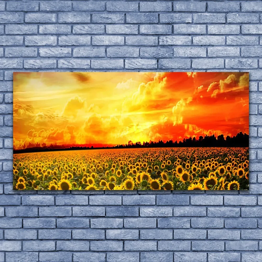 Tablouri acrilice Meadow Sunflowers Floral Verde Galben Maro