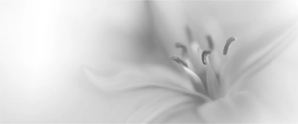 Tablou - Crin delicat (120x50 cm)