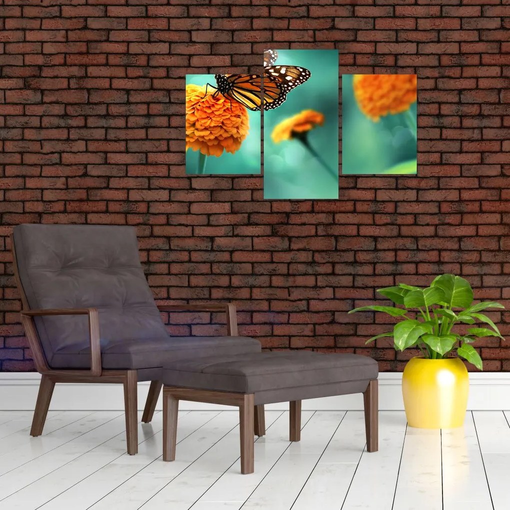 Tablou cu fluture (90x60 cm)