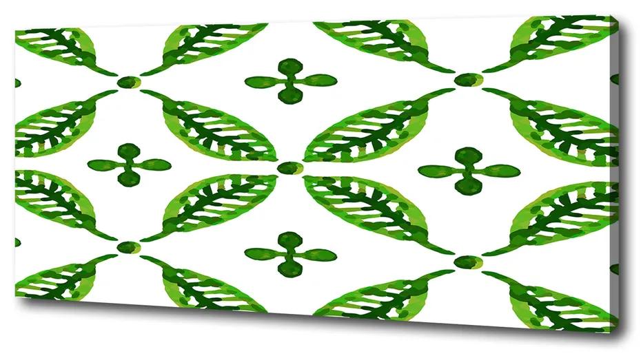 Tablouri tipărite pe pânză Frunze verzi