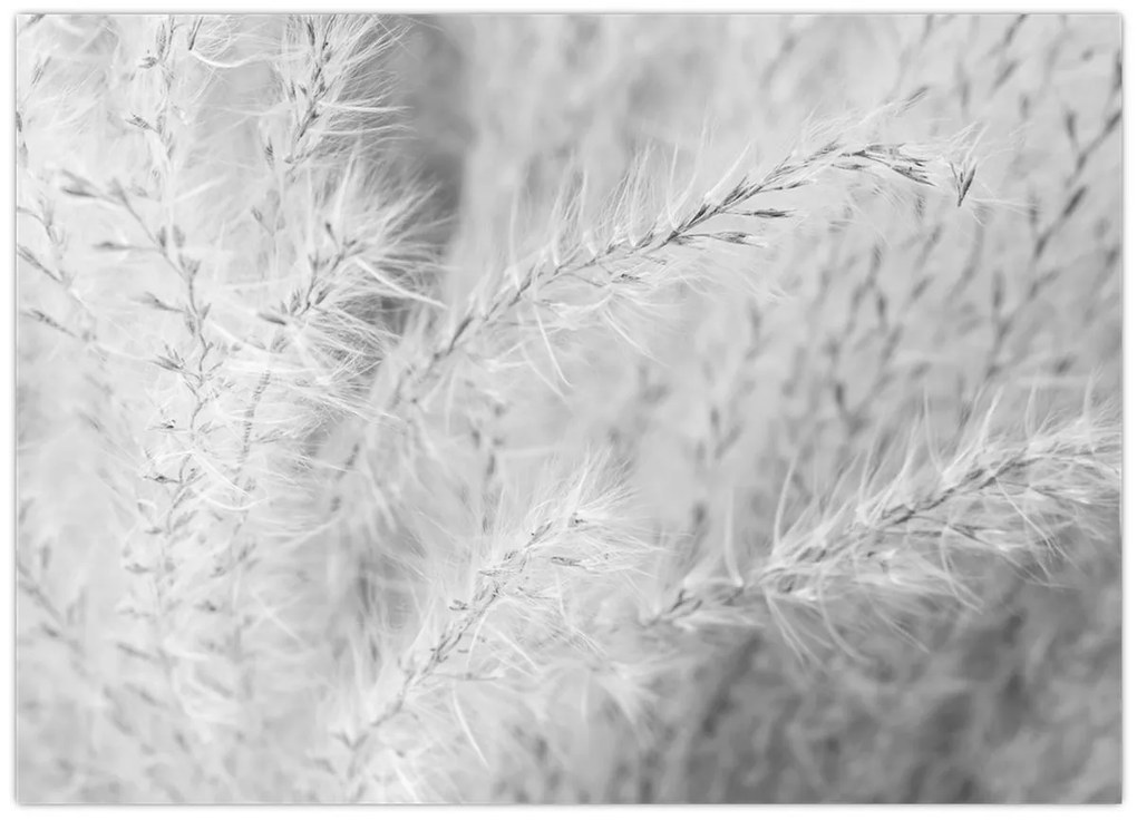Tablou - Iarbă de pampas N⁰1 (70x50 cm)