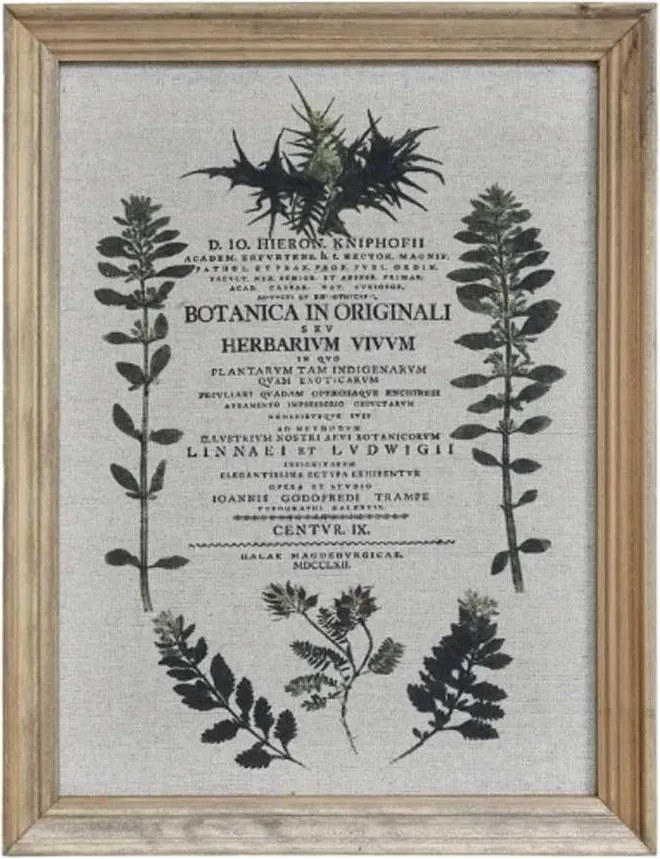Tablou flori salbatice cu rama natur