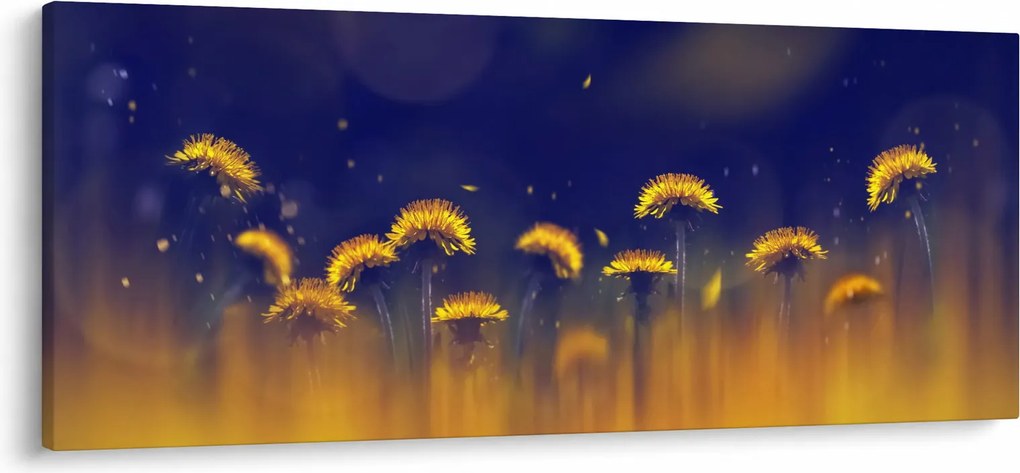 Tablou - Păpădii (120x50 cm)