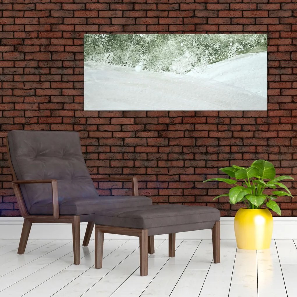 Abstract din pensule (120x50 cm)