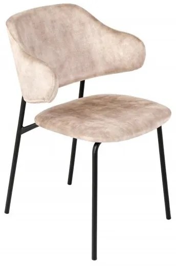 Set 2 scaune stil modern Tracy Alpine, catifea sampanie-greige