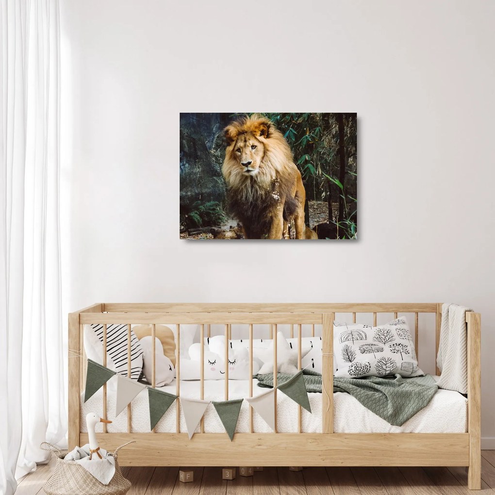 Tablou pe sticlă cu leu în natură (70x50 cm)