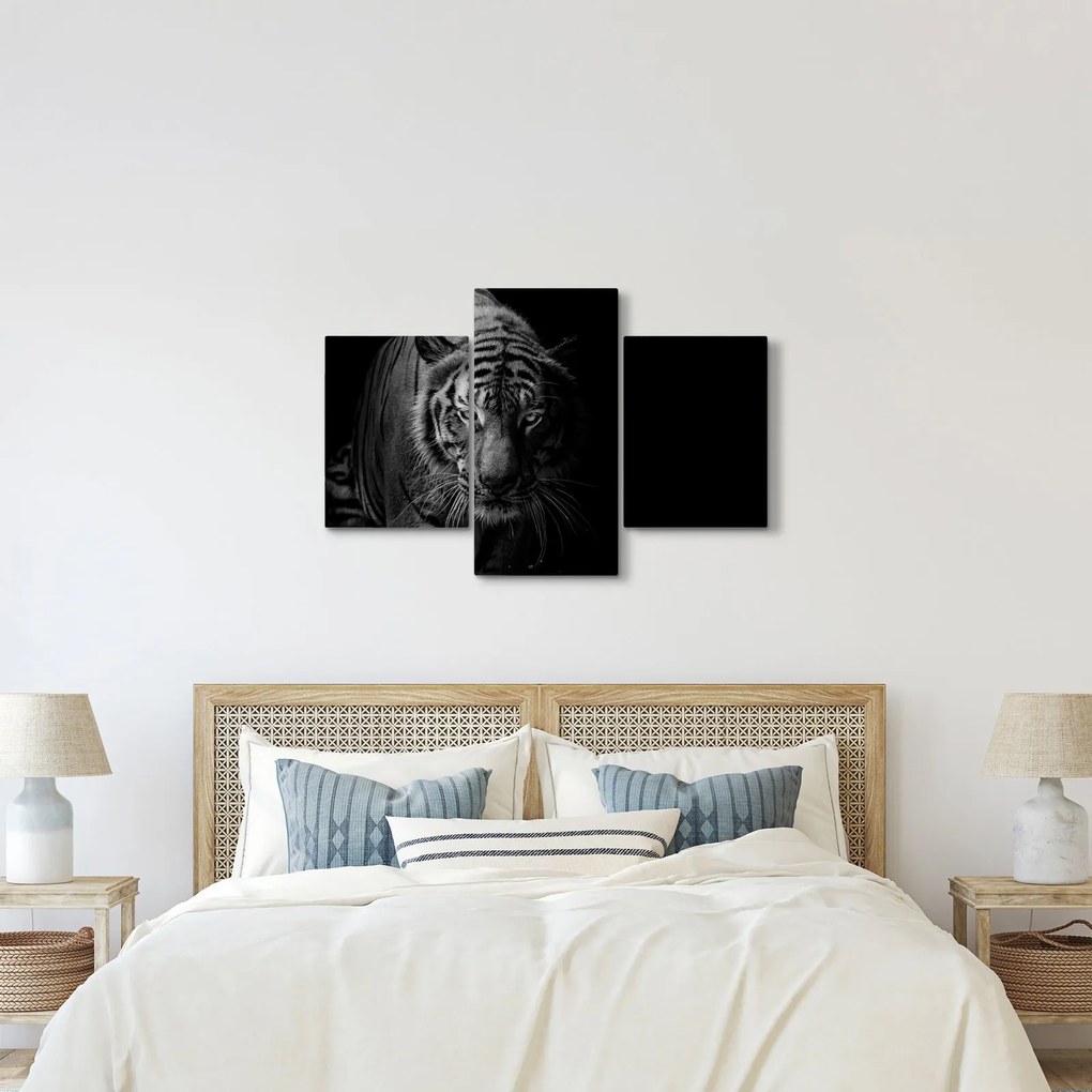 Tablou - Tigru sălbatic (90x60 cm)