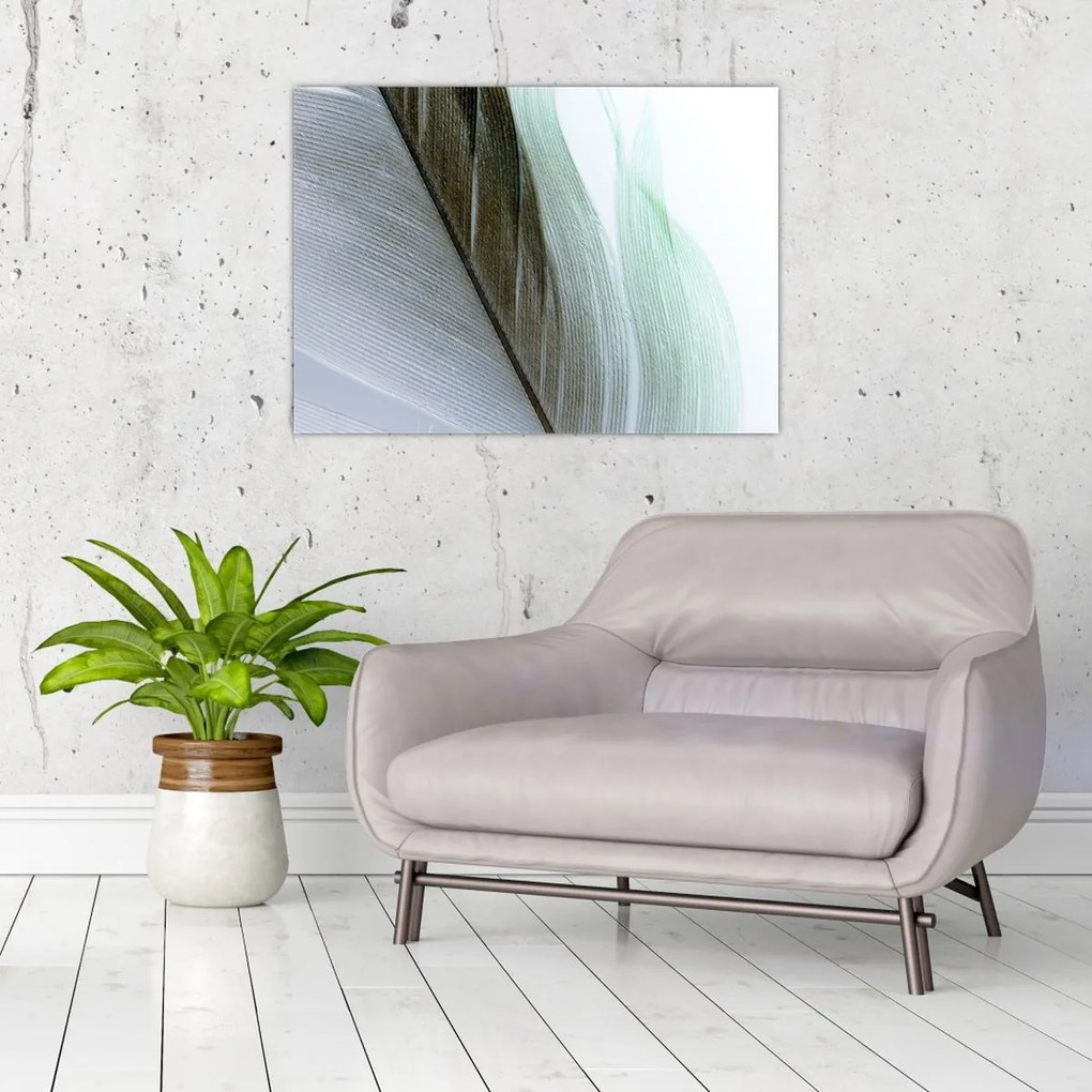 Tablou - Pene, macro (70x50 cm)