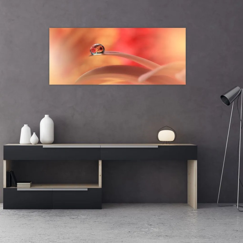 Tablou picăturii de rouă pe floare (120x50 cm)
