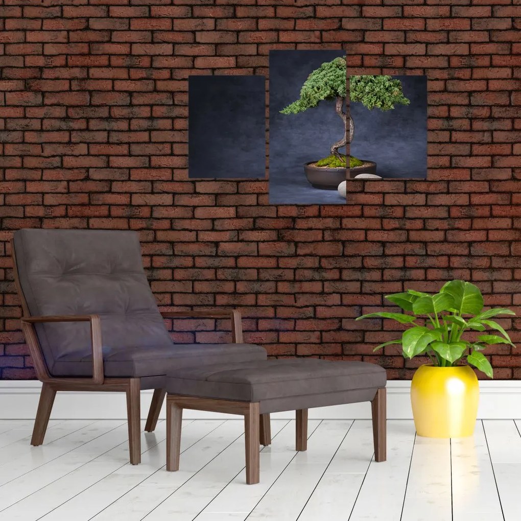 Tablou - Bonsai (90x60 cm)