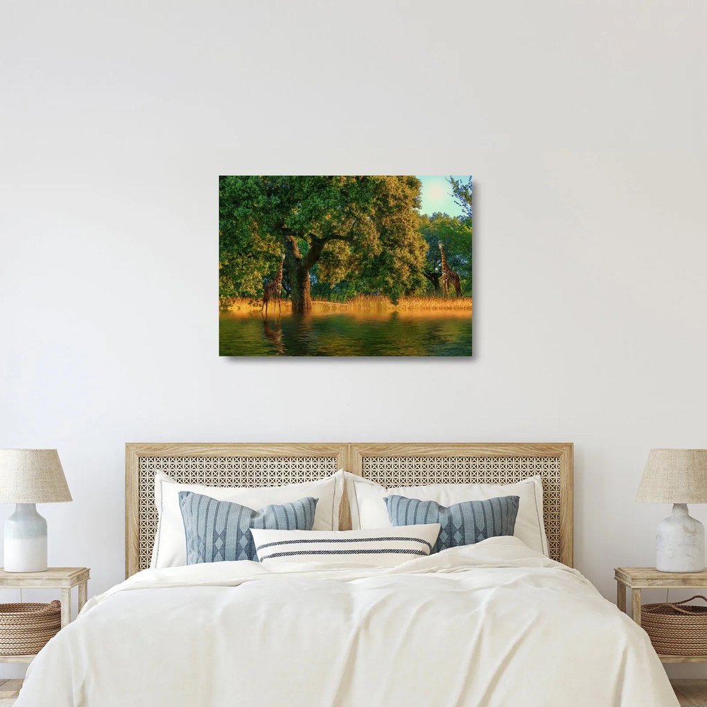 Tablou pe sticlă cu girafe în natură (70x50 cm)