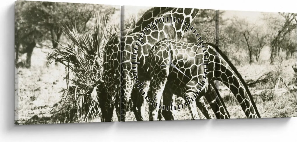 Tablou - Girafe, de epocă (cu ceas) (90x30 cm)
