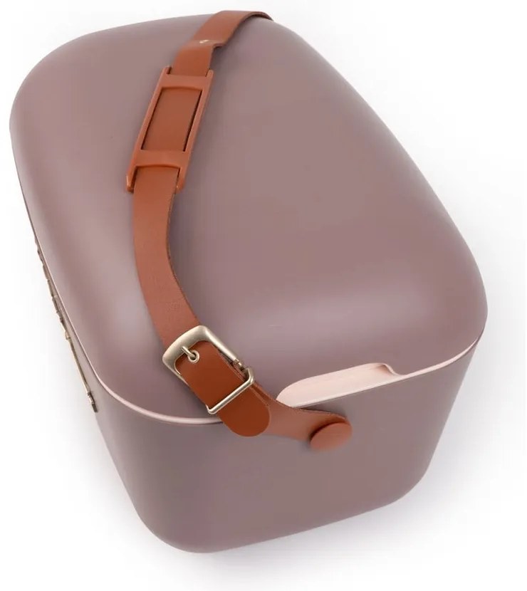 Cutie termoizolantă maro 12 l Classic Gold – Polarbox