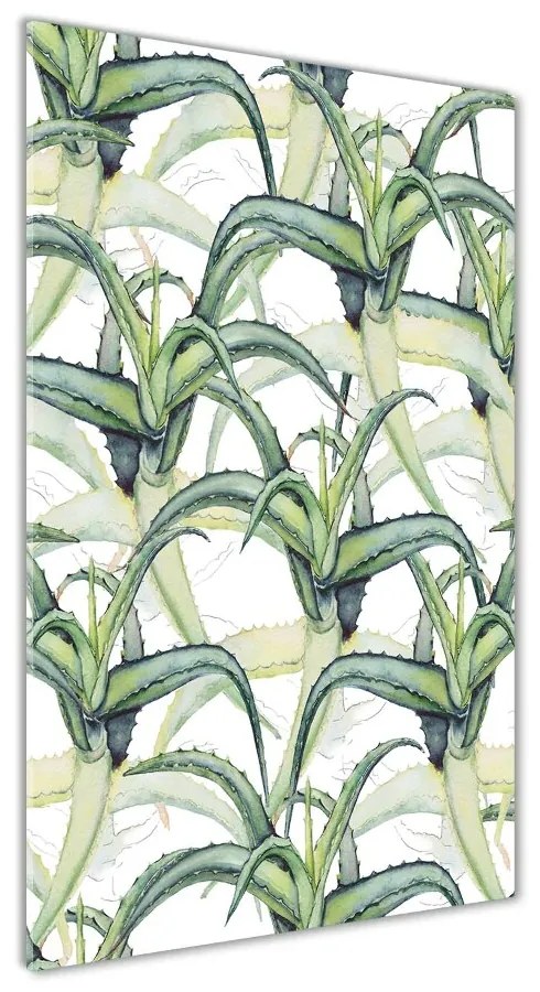 Tablou Printat Pe Sticlă Aloe