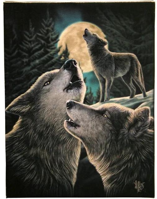 Tablou Canvas lupi peisaj montan 50X70 cm Wolf Song