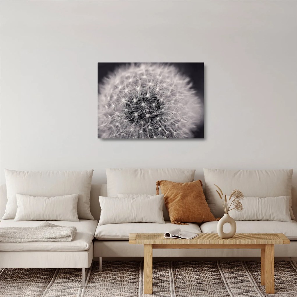 Tablou pe sticlă cu păpădie (70x50 cm)
