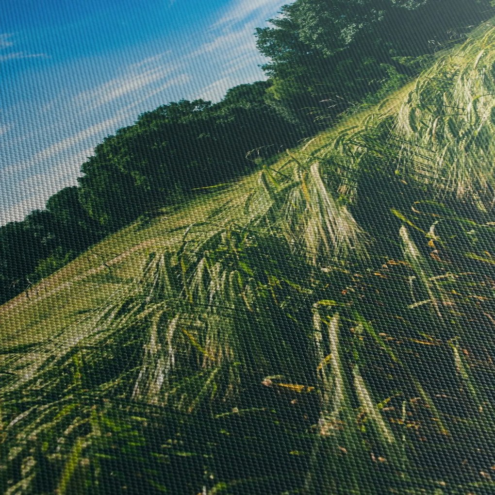 Tablou cu linca și pădure (70x50 cm)