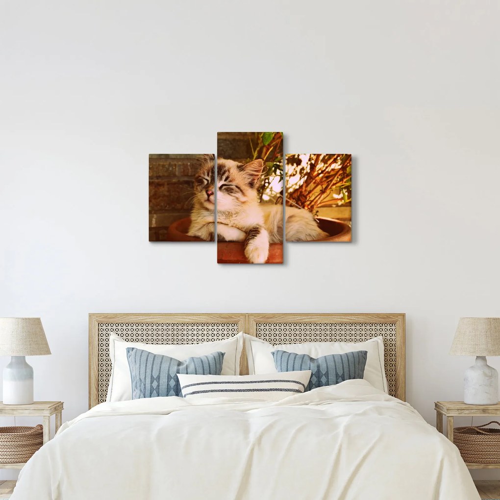 Tablou cu pisica în ghiveci (90x60 cm)