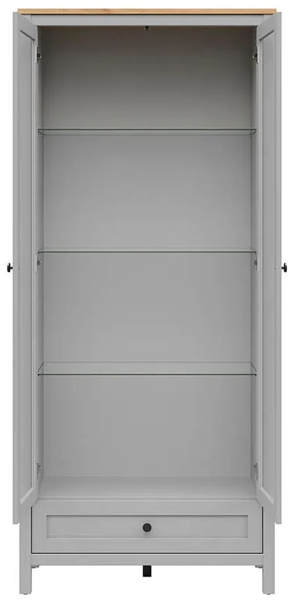 Vitrină Salga 10 (gri arctic + stejar artisan) . 1098474