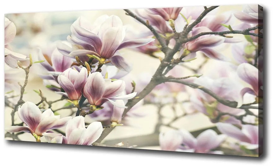 Pictură pe pânză Magnolie
