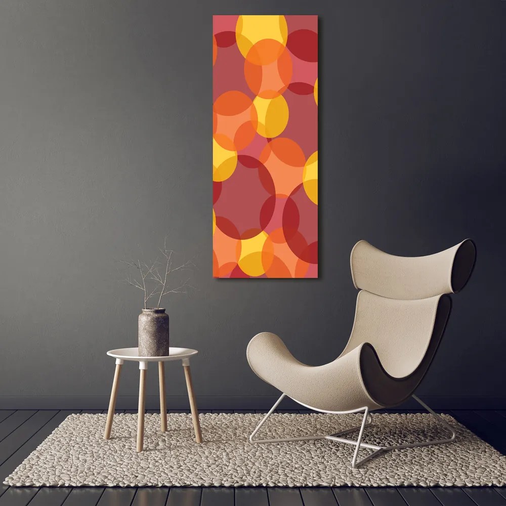 Tablou canvas Cercuri colorate