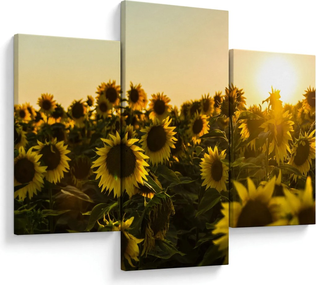Tablou cu lan de floarea soarelui (90x60 cm)
