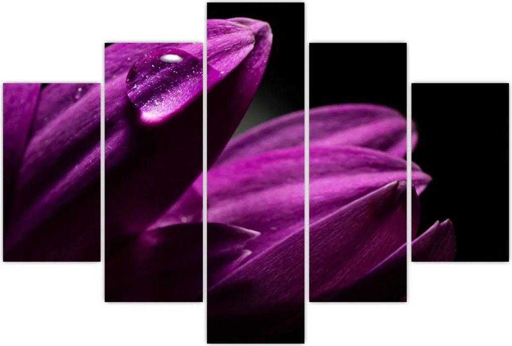 Tablou - Picătura de apă (150x105 cm)