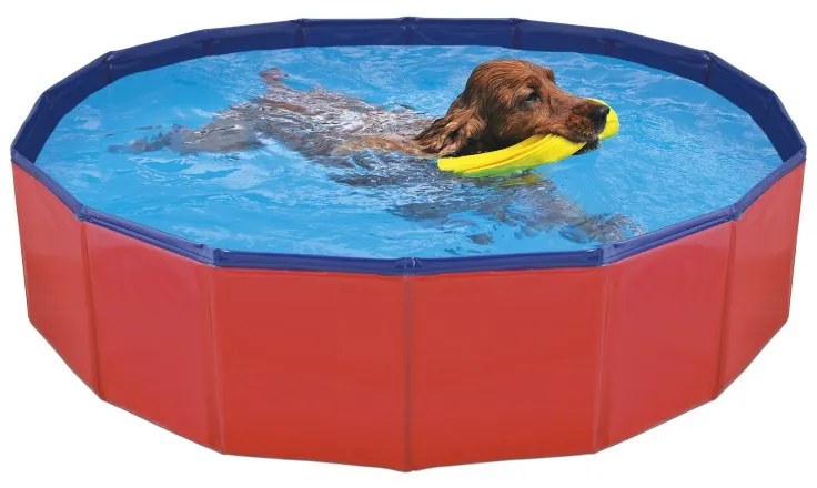 Piscina pentru caini - 120x30cm