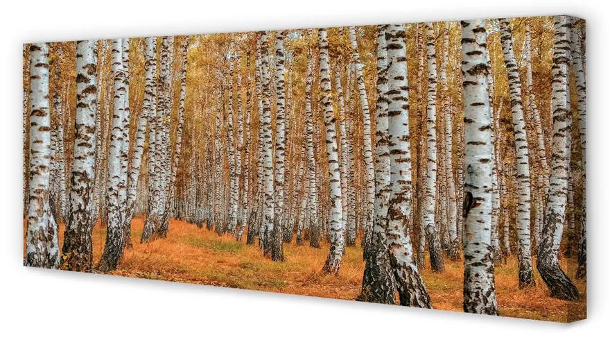 Tablouri canvas copaci de toamnă