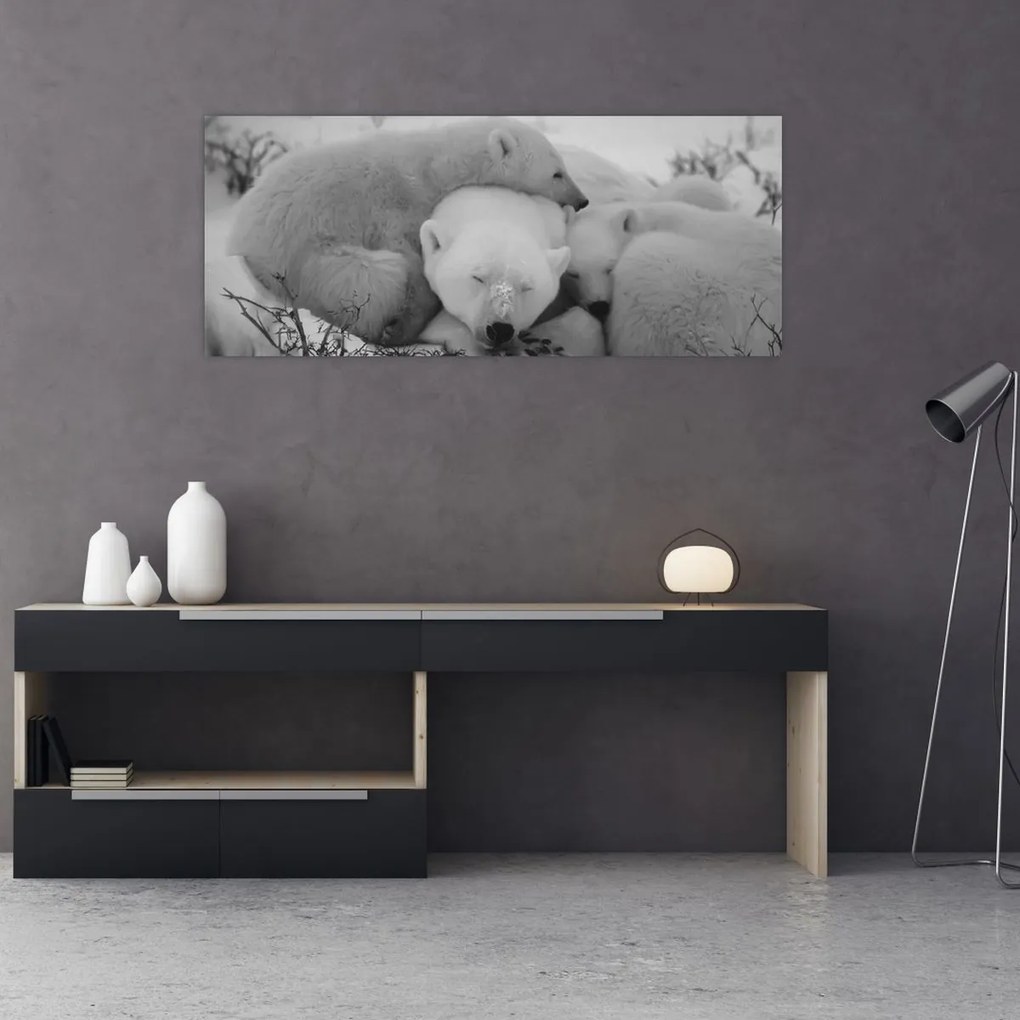 Tablou - Urși polari, alb-negru (120x50 cm)