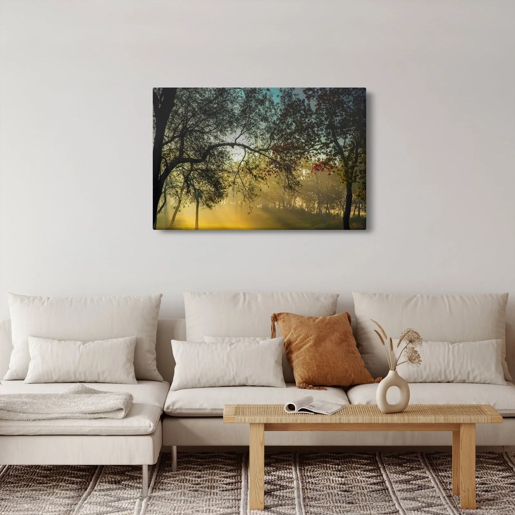Tablou cu răsărit de soare (90x60 cm)